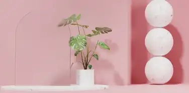 Essential Cyber Security Practices for Small Businesses